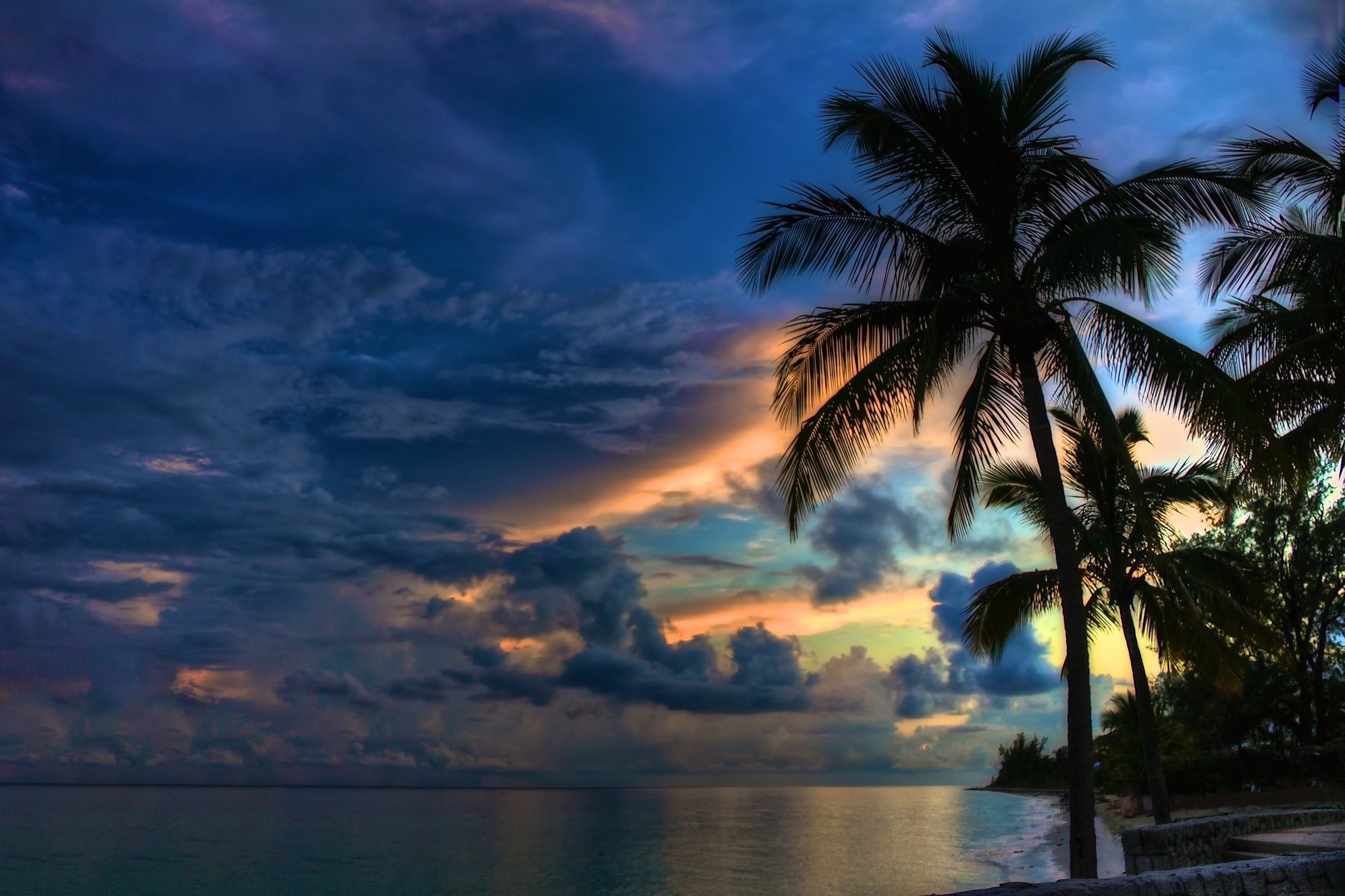 Deep blues and orange of a sunset in the Bahamas with a palm tree in the foreground